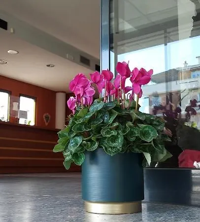 德埃斯特伊尔杜卡酒店 酒店