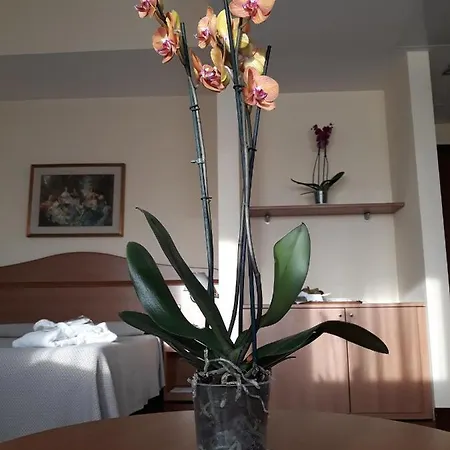 Hotel Il Duca D'este Ferrara