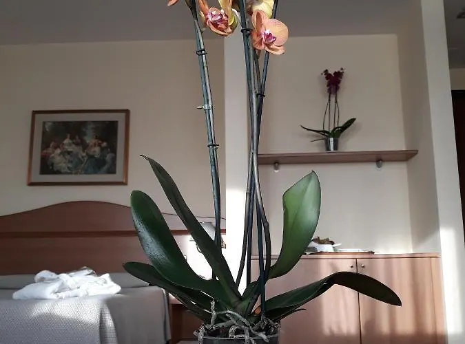 Hotel Il Duca D'este Ferrare